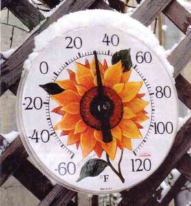 Timely Winter Gardening Tips for Where You Live Image